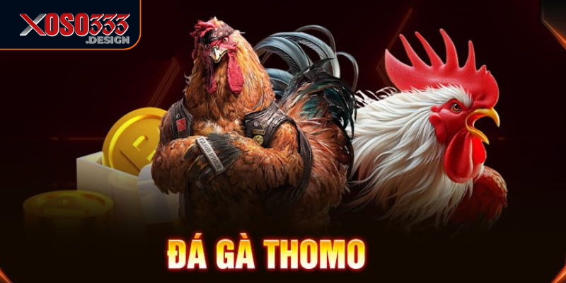 Đá Gà Thomo Xoso333 - Kinh Nghiệm Cá Cược Dành Cho Người Mới 2 Người chơi có quyền nhiều loại cược khác nhau