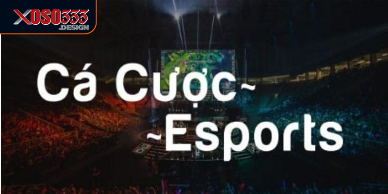Game Esports Xoso333 - Cập Nhật Các Kèo Cược Và Trận Đấu 1 Game Esports Xoso333 mang đến nhiều kèo cược hấp dẫn
